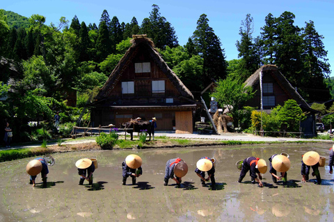 Hin- und Rückfahrt mit dem Bus von Nagoya nach Shirakawa-go