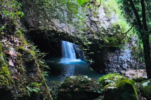 Brisbane: Natural Bridge, Glow worms & Magic Sky View