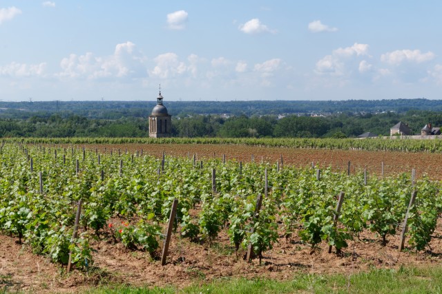 Visit From Amboise and Tours Self-Guided Vouvray Wine Tour in Nice