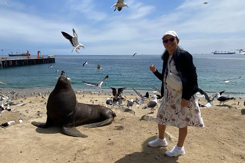 Casablanca: Private Wine Tour at Estancia El Cuadro, Valparaíso, Viña del Mar