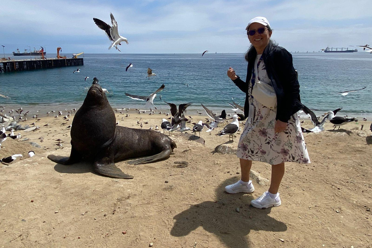 Casablanca: Private Wine Tour at Estancia El Cuadro, Valparaíso, Viña del Mar