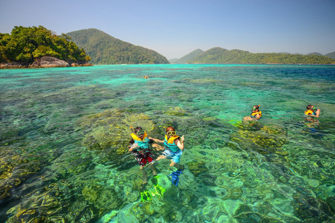 Phuket or Kha Lak: Phi Phi Island Premium Catamaran Tour Pickup from Khaolak Area