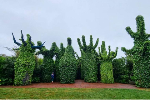 De Auckland: Tour em pequenos grupos para Hobbiton e Hamilton Gardens