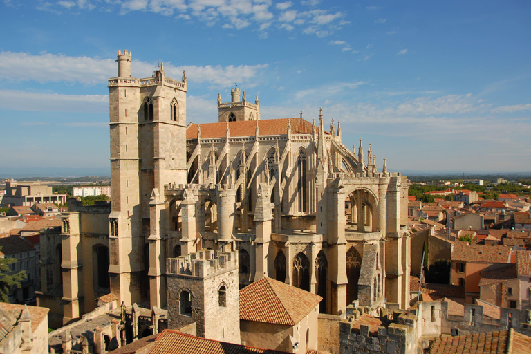 Narbonne: Express Walk with a Local 120 min - Private Tour