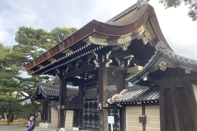 Kyoto: Nijo Castle and Kyoto Imperial Palace Guided Tour