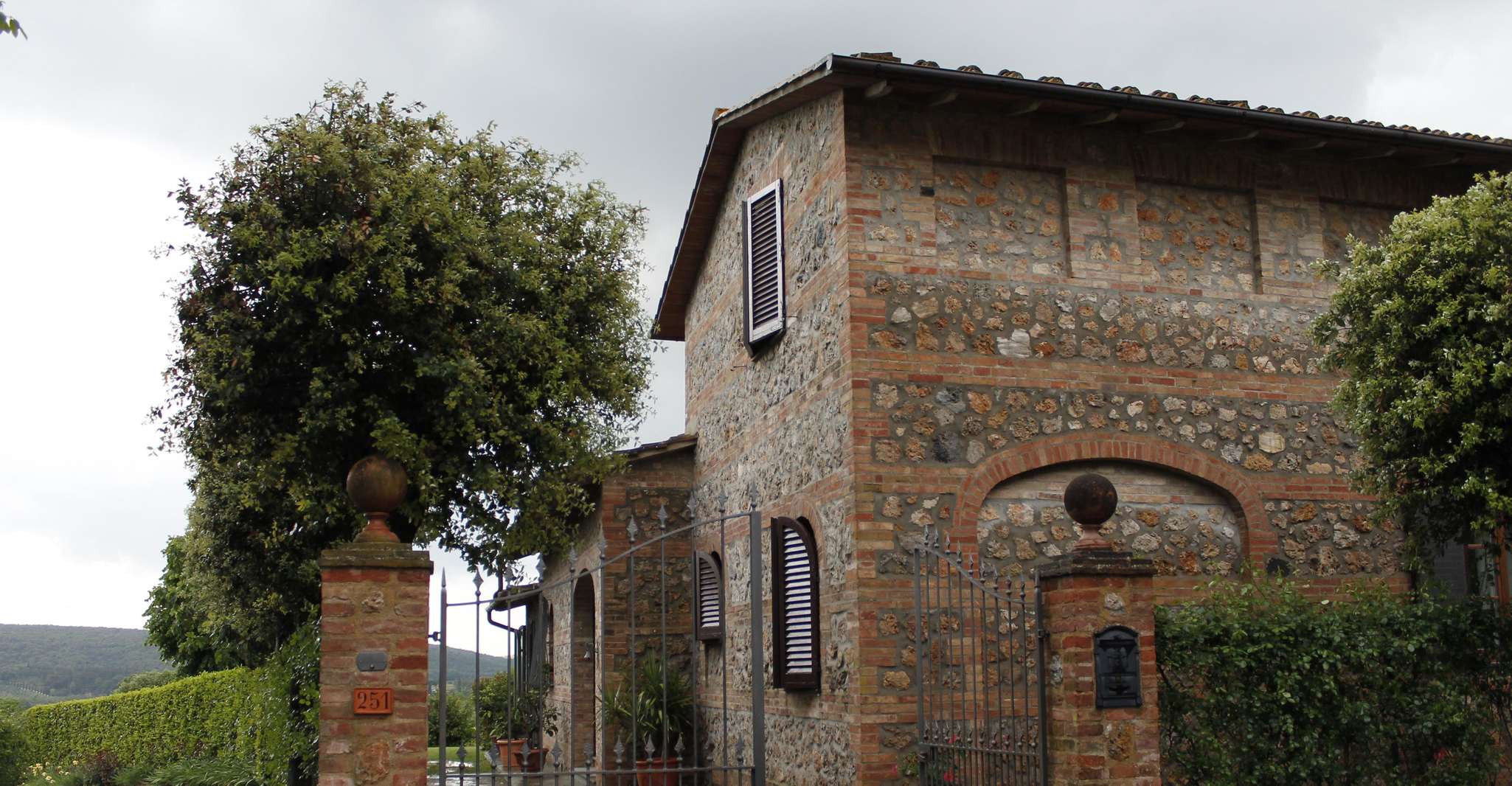 Sovicille: Degustazione Vini e Visita in Vigna