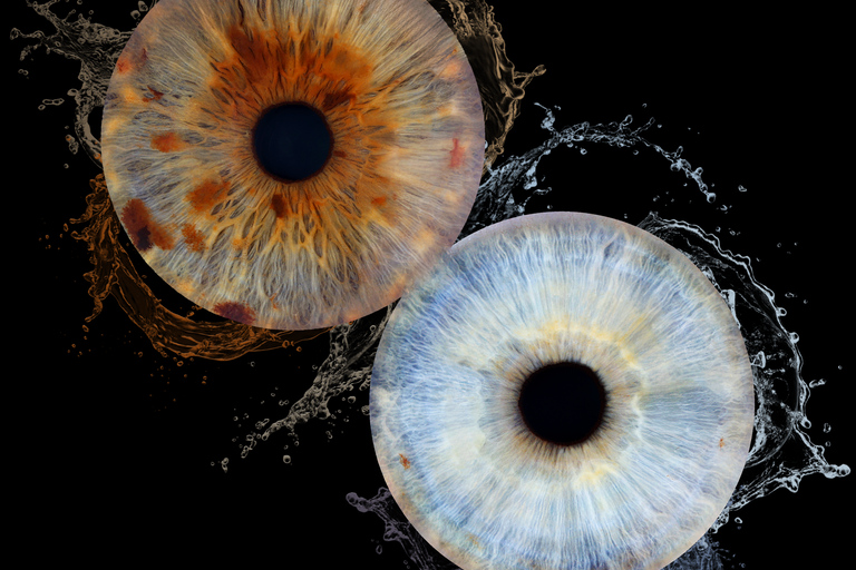 Montreal: Imaginarium Museum Immersive Selfie + Iris Capture Combo Montreal: Imaginarium Museum Immersive Selfie + Iris Scan Combo