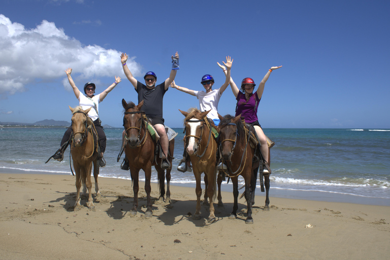 Puerto Plata: Beach Horseback Ride with Swim and Drinks Puerto Plata: Beach Horseback Ride with Swim and Drinks