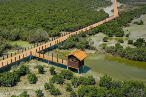 From Doha: Full-Day Tour to Qatar North and West From Doha: Full-Day Tour to Qatar North and West