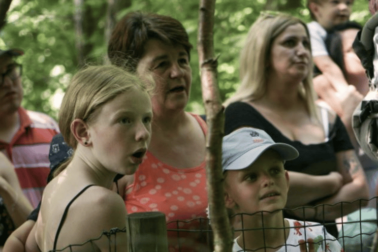 巴特格莱兴贝格：斯蒂拉希克公园门票巴特格莱兴贝格：斯蒂拉希公园门票