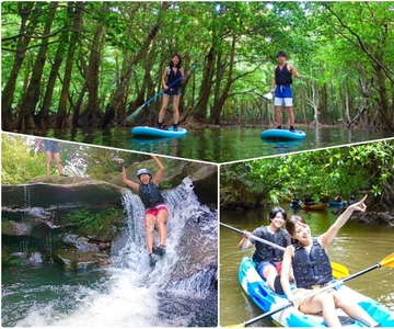 Iriomote Adası: SUP veya Kano ve Kanyon Geçişi Turu