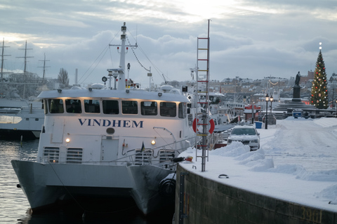 Stockholm : croisière guidée dans l'archipel avec fika suédois