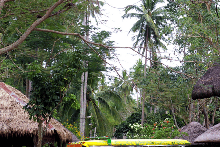 From Manila: Villa Escudero Day Tour with Lunch