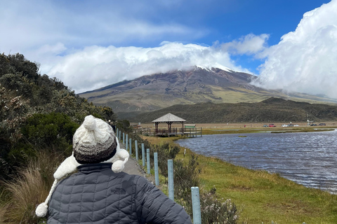 From Quito: The Best of Cotopaxi in a Day