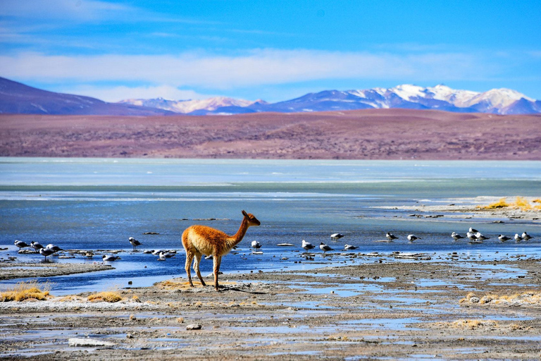 SALAR DE UYUNI EXPRESS ROUND TRIP 2 NIGHTS 3 DAYS