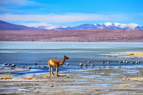 SALAR DE UYUNI EXPRESS IDA Y VUELTA 2 NOCHES 3 DÍAS