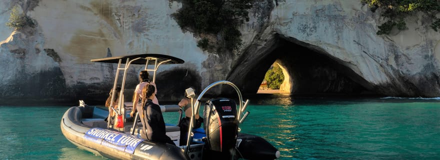 Réserve marine de Cathedral Cove : Excursion en bateau pour la plongée avec tuba