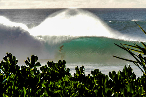 Oahu: Circle Island Tour on a full day or two half days NORTH LOOP - Half-Day: North Shore and Island Flavors.
