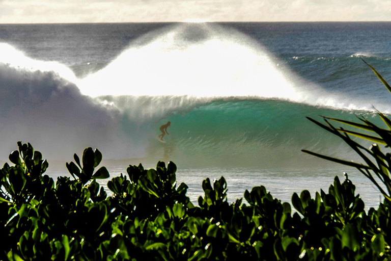 Oahu: Circle Island Tour on a full day or two half days NORTH LOOP - Half-Day: North Shore and Island Flavors.