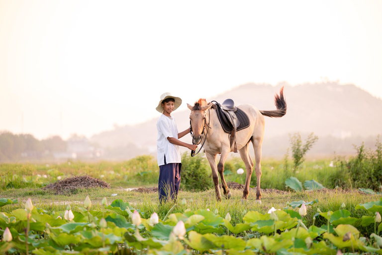 Siem Reap: Horseback Ride with Tour Guide at Phnom Krom (1 hour) Horseback Ride with Tour Guide