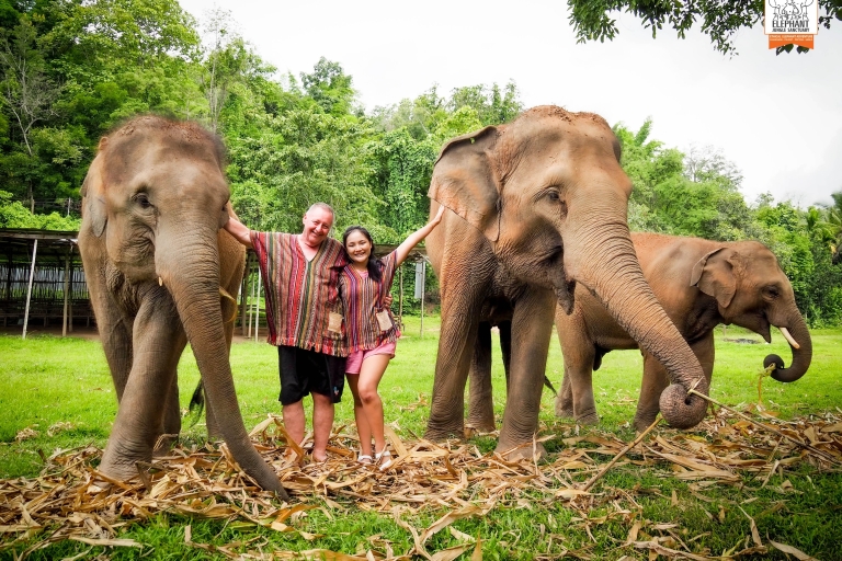 Chiang Mai: Elefanten-Dschungel-Schutzgebiet mit Mittagessen und TransferChiang Mai: Elefanten-Dschungel-Schutzgebiet Ganztagestour