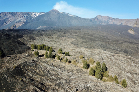 Mt. Etna: Morning 4x4 Tour with Volcanic Cave and Traditional Tasting