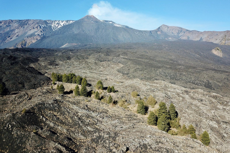 Mt. Etna: Morning 4x4 Tour with Volcanic Cave and Traditional Tasting