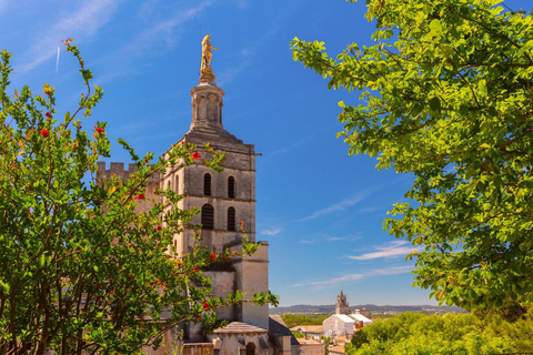 Avignon: Express wandeling met een local in 60 minuten