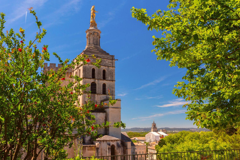 Avignon: Caminhada expressa com um morador local em 60 minutos