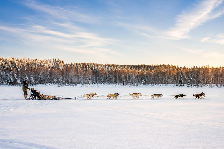 Rovaniemi: Meet Vasco Husky & Enjoy Sled Ride at Husky Farm ⭐ Winter Husky Adventure with Vasco | Jan 1 – Mar 31