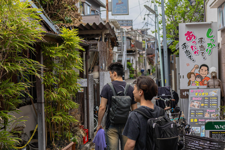 Tokyo: Yanesen Cultural & Hidden Gems Guided Walking Tour