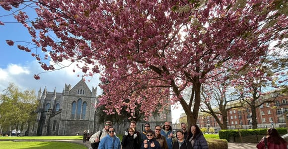 Dublin: Literary Walking Tour, Afternoon Tea & MoLI Entry