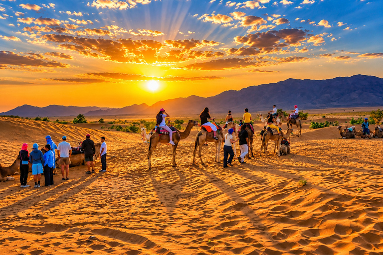 From Agadir: 2-Day Zagora Desert Tour, Camel Ride & Camp Shared Tour – Luxury Desert Camp & Camel Rides