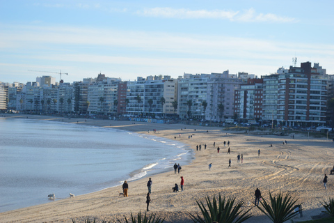 Montevideo: Guided walks on electric bicycles