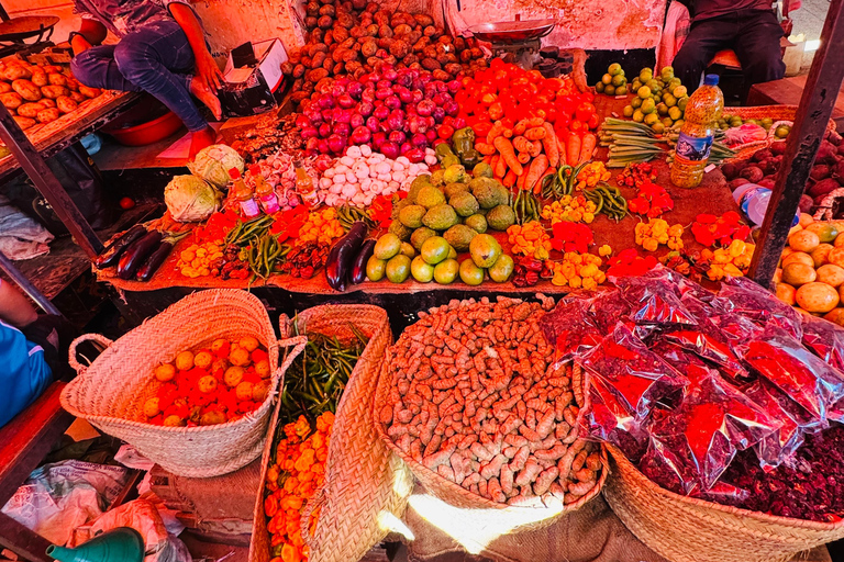 Zanzibar: Jozani-skogen, kryddgård, privat tur i Stenstaden