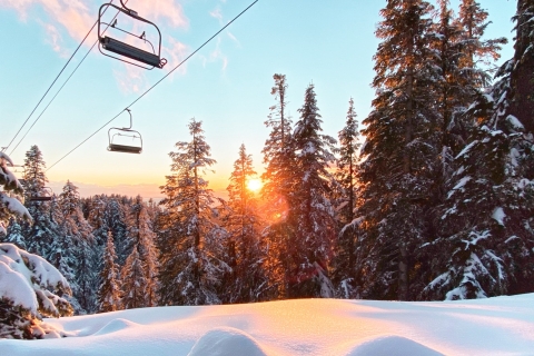 Vancouver: Grouse Mountain Admission Ticket
