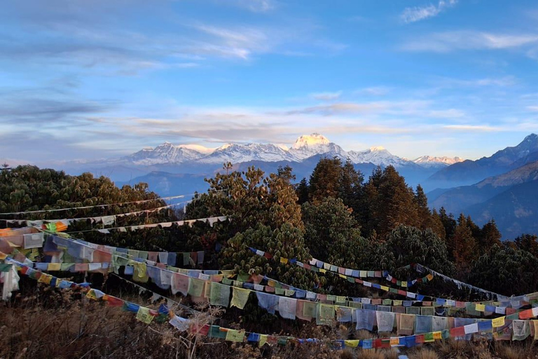 From Chitwan: 5-Day Poon Hill, Ghandruk Sunrise Trek