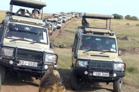 5-Days Tembo safari - Amboseli and Tsavo East