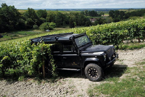 Privé rondleiding Dag in het hart van de Cognac wijngaarden