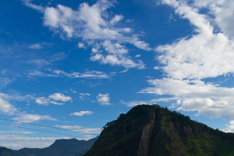 Ella: De Pekoe Trail Etappe 16 - Ella naar DemodaraHet Pekoe pad etappe 16