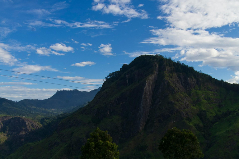 Ella: De Pekoe Trail Etappe 16 - Ella naar DemodaraHet Pekoe pad etappe 16