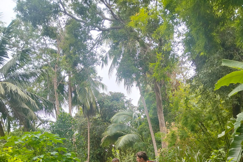 Village Bike Tour, Bamboo Train, Bat Cave & Local Lunch