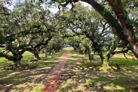 Nowy Orlean: Oak Alley i Laura Plantation Tour z transportem