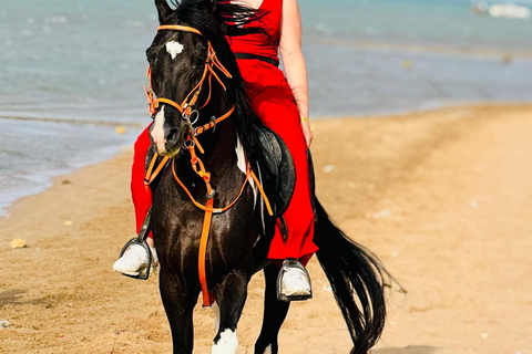 الغردقة: جولة ركوب الخيل في الصحراء والبحر مع خيار السباحةجولة لمدة ساعتين لركوب الخيل بدون السباح