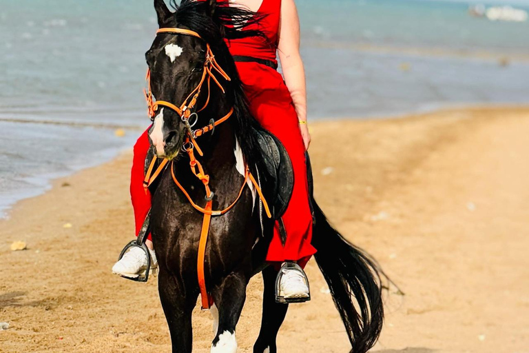 الغردقة: جولة ركوب الخيل في الصحراء والبحر مع خيار السباحةجولة لمدة ساعتين لركوب الخيل بدون السباح