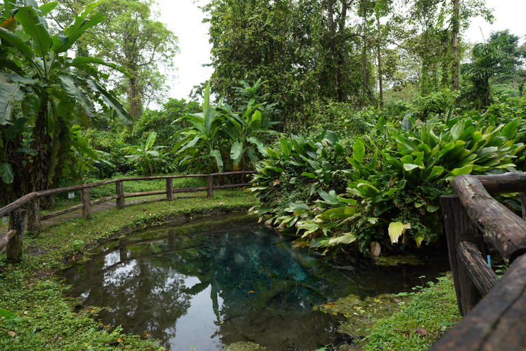 清迈：布塔通粘水瀑布与南普切特寺之旅清迈：布阿通粘稠瀑布与南普切特寺一日游