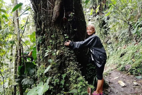 Private Mindo Day Tour: Cloud Forest, Nature & Chocolate