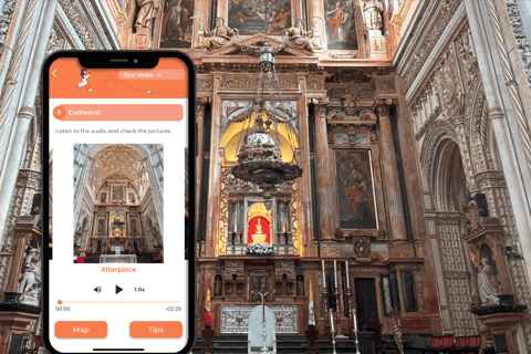 Mosque-Cathedral of Cordoba: Self-guided tour created by an Official Guide Self-guided tour only. No entrance ticket.