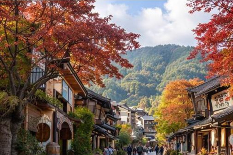 Nagano/Tokyo: Snow Monkey Private Car Tour Hotel Pick & Drop