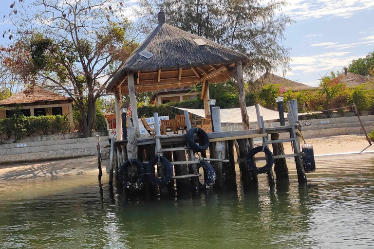 Sine Saloum Day Tour: Mangroves, Islands, and Authentic Villages Sine Saloum by dugout canoe: mangroves, Bird Island, and Mar Lodj